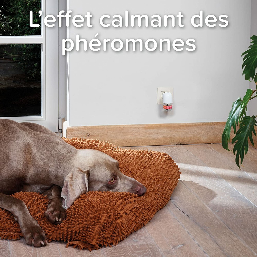 Diffuseur anti stress de phéromones chien