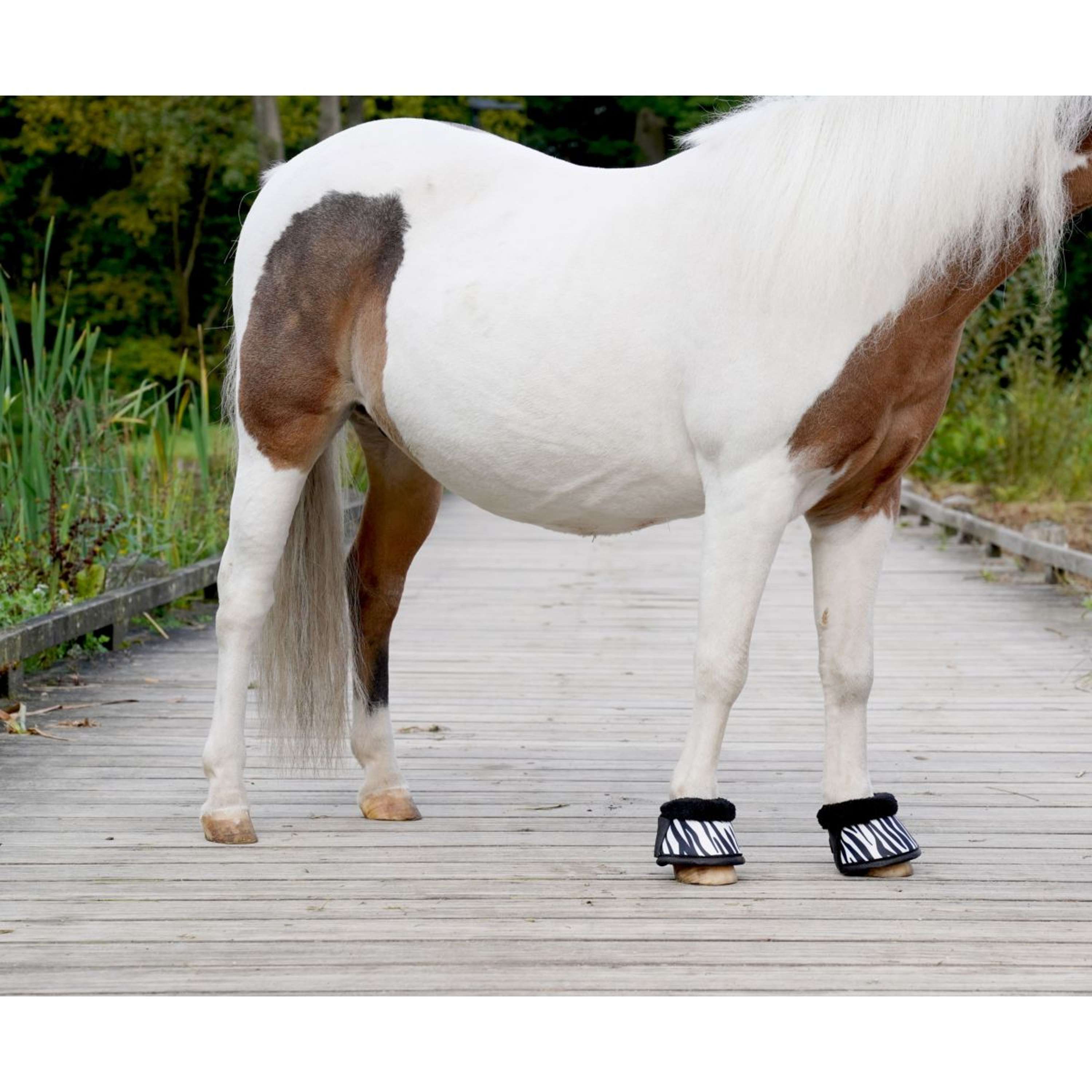 HB Springschoenen Zebra Zwart/Wit