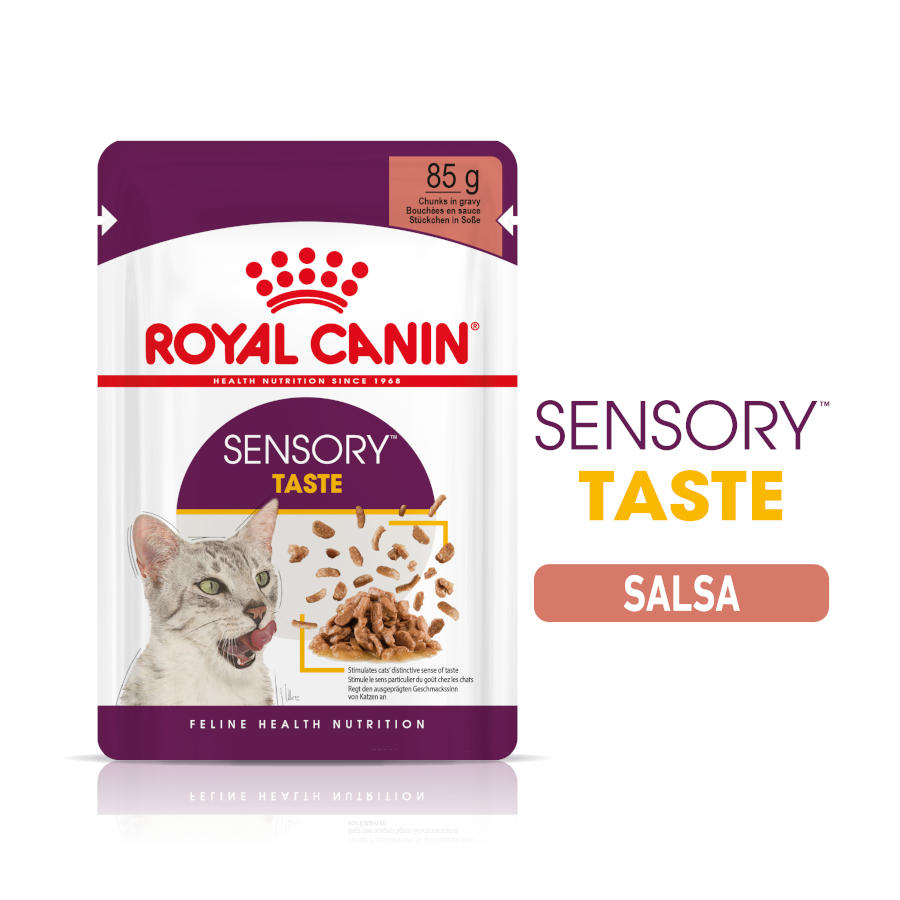 Sachê de molho sensorial Royal Canin Adult para gatos