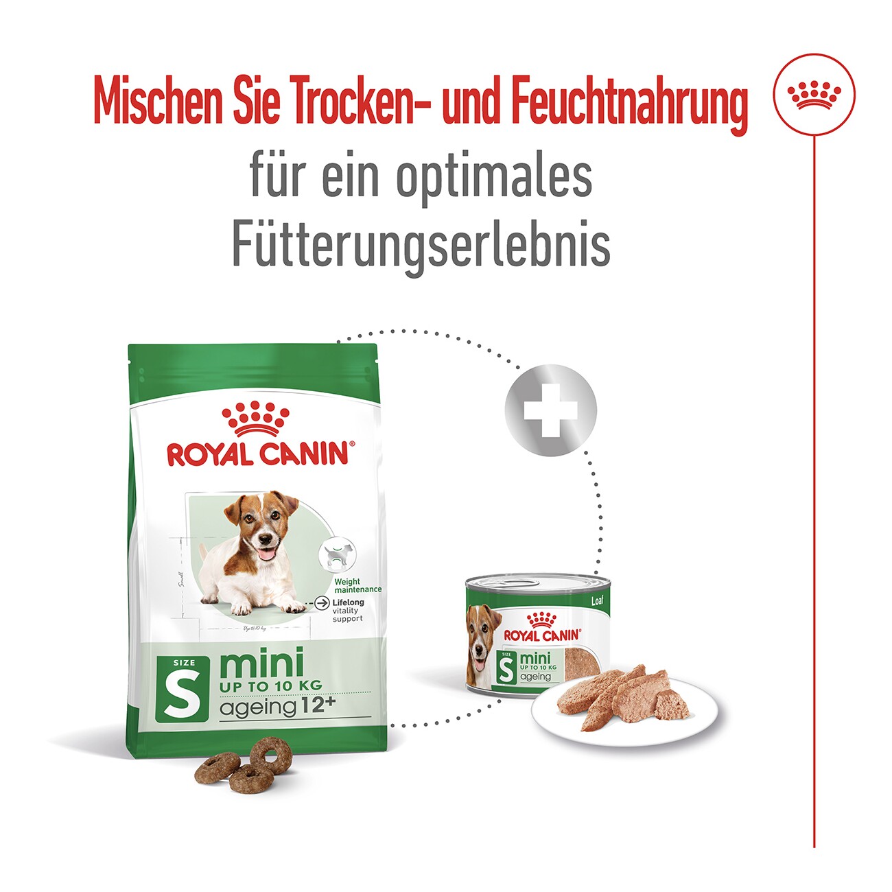 ROYAL CANIN Mini Ageing Mousse 12x195 g