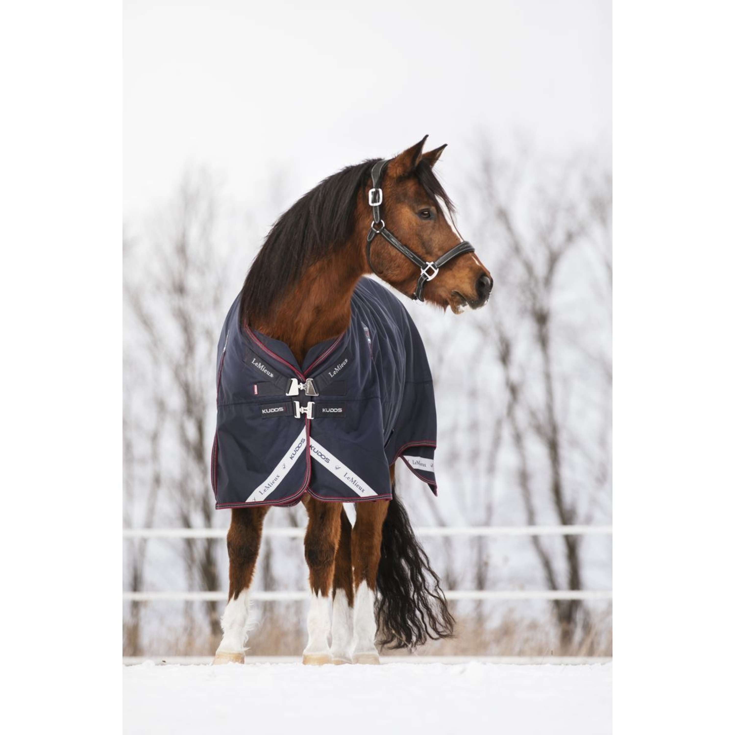 LeMieux Deken Kudos Turnout 50g Navy