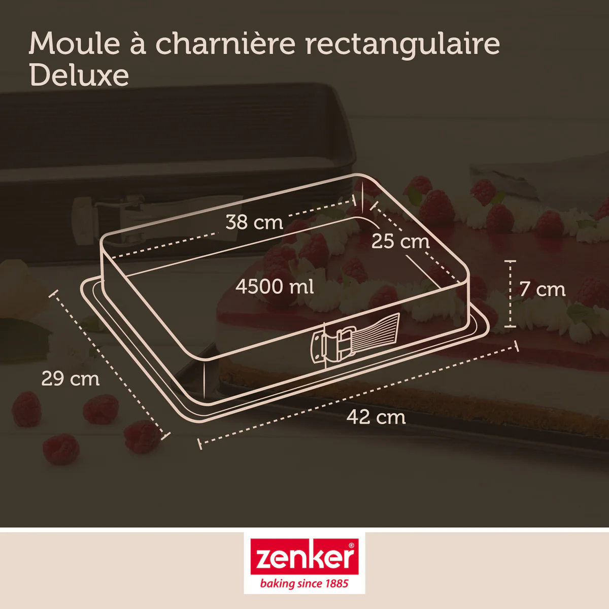 Moule à charnière rectangulaire en acier émaillé 42 x 29 cm et sa spat