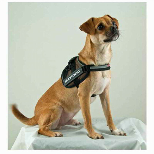 Harnais Ezydog Convert pour chien