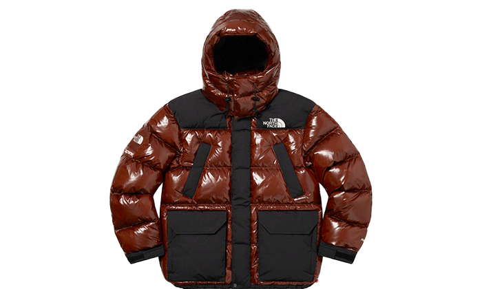 Supreme The North Face 700-Fill Down Parka Brown