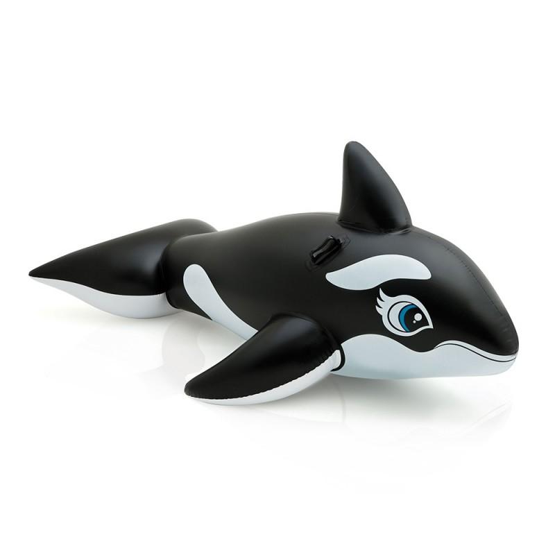 GRANDE BALEINE A CHEVAUCHER