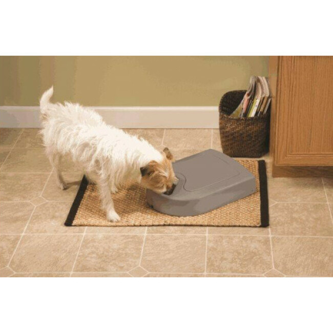 Distributeur automatique Petsafe programmable 5 repas EatWell