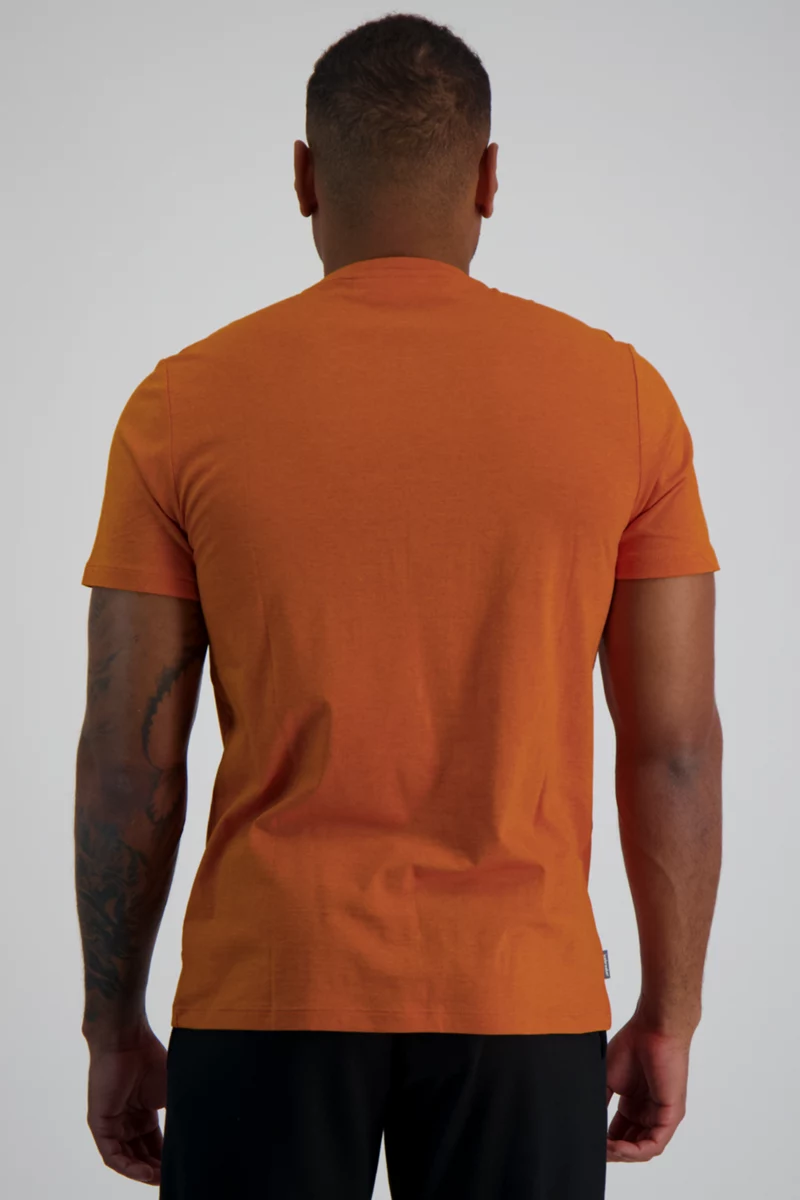 icebreaker Merino Central Classic Wirefram Herren T-Shirt