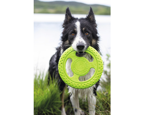 Kiwi Walker Frisbee hondenspeelgoed, 16 x 16 cm, groen