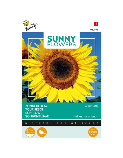 Buzzy Sunny Flowers - Reuzenzonnebloem Giganteus - Bloemenzaden - 5 g
