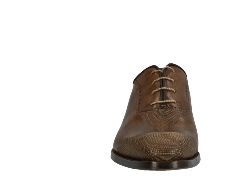 Harris 2451 Bruin