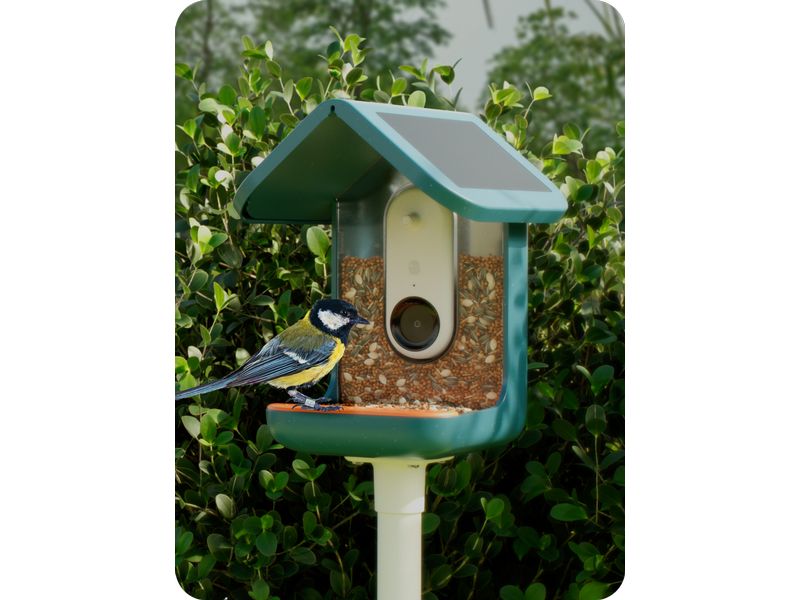 Birdbuddy Futterspender 2.0 mit Solardach und AI Vogelerken Vogelhaus mit integrierter Kamera und Solardach