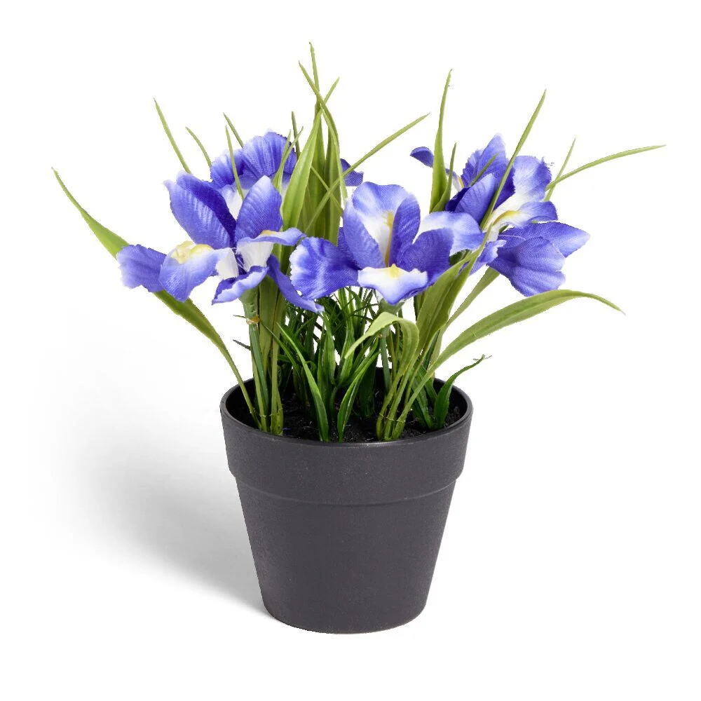 Plante artificielle fleurs bleues H14cm