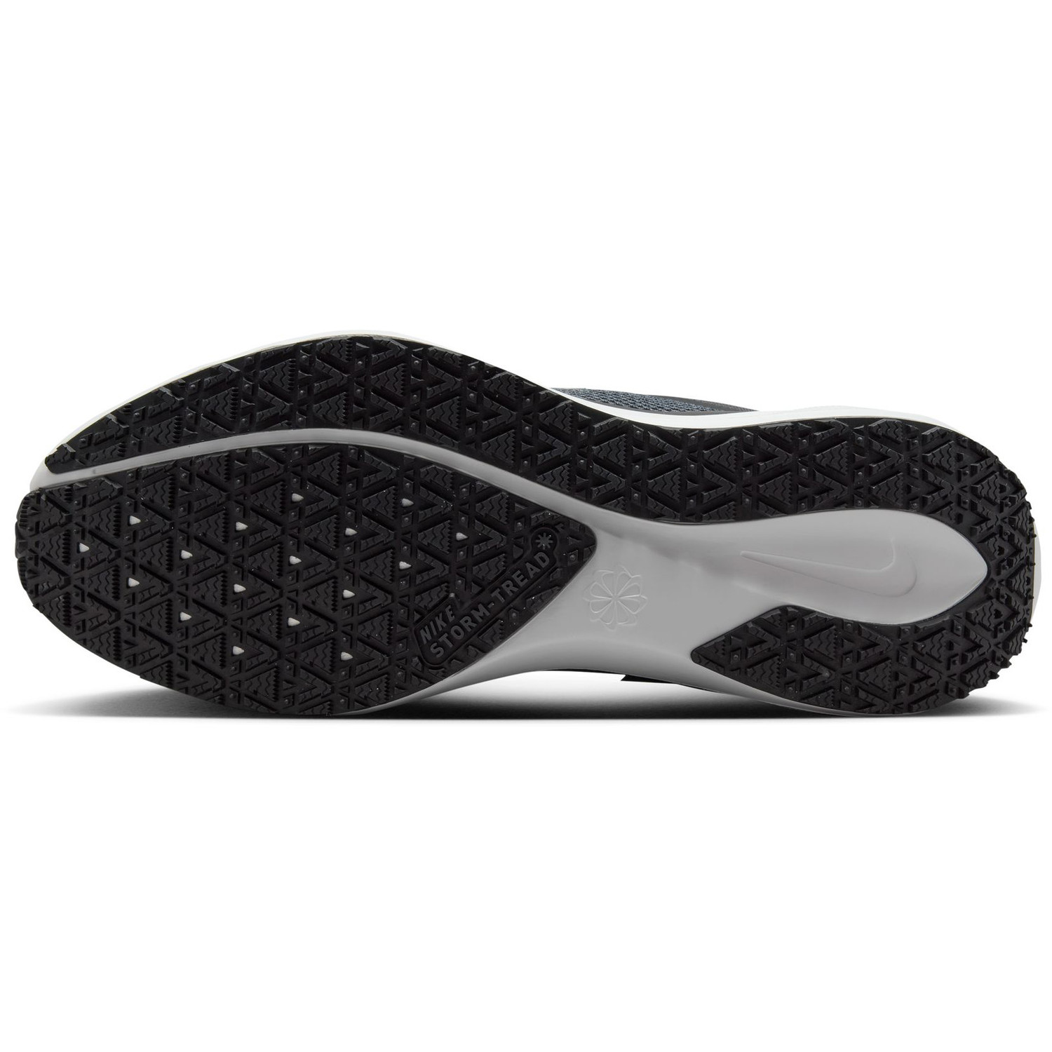 Nike Pegasus 41 GTX Heren