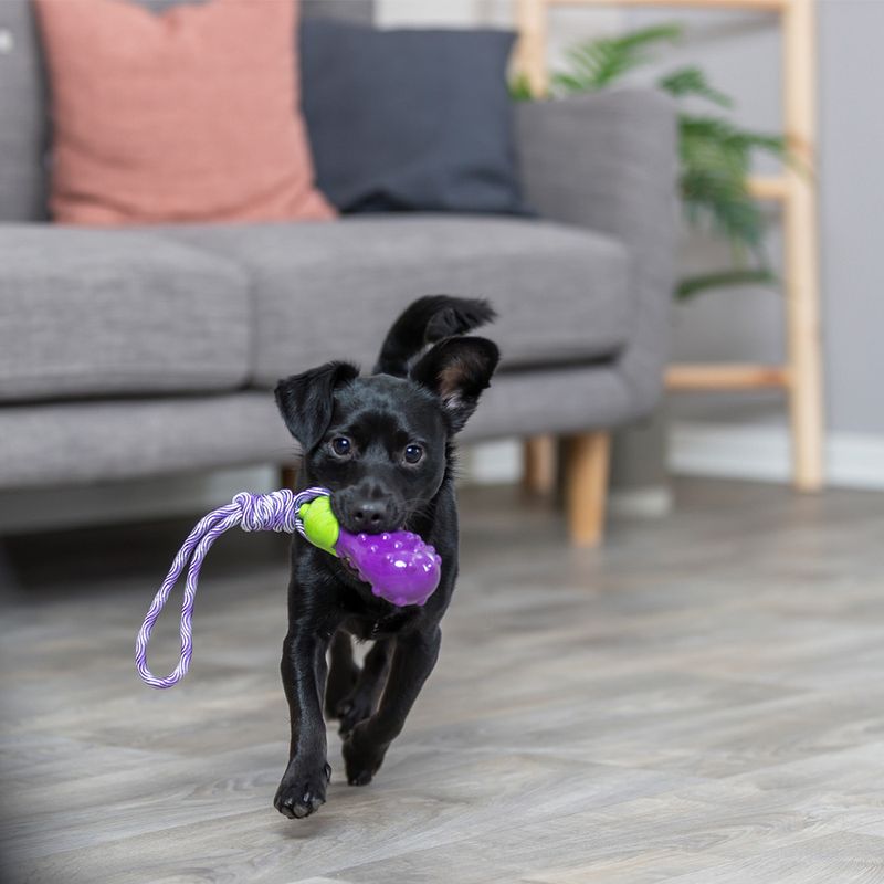 Jouet Trixie Aubergine sur corde