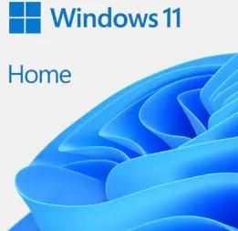 Microsoft Windows 11 Home 1 licentie