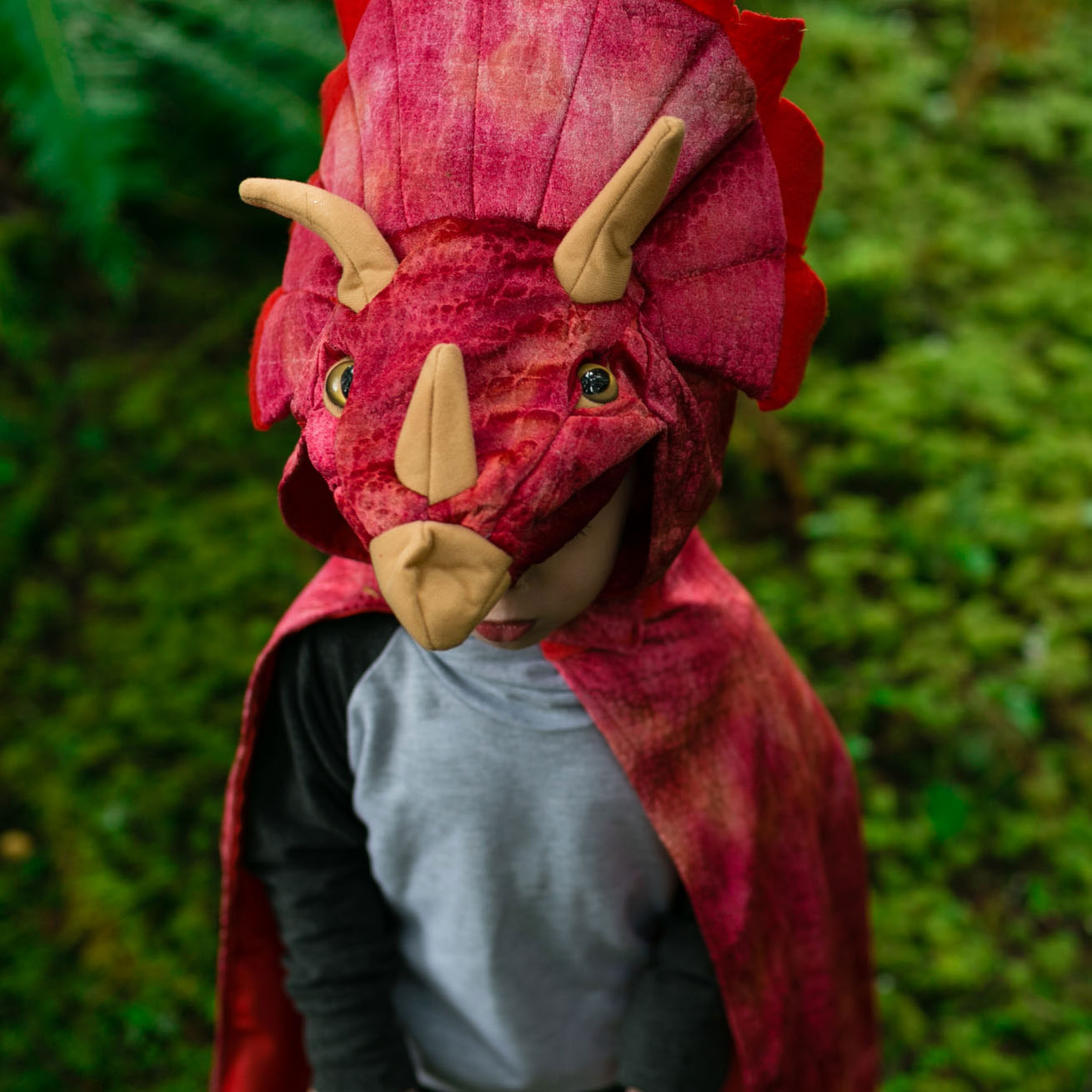 Cape Dinosaurus Triceratops Rood, 4-5 jaar