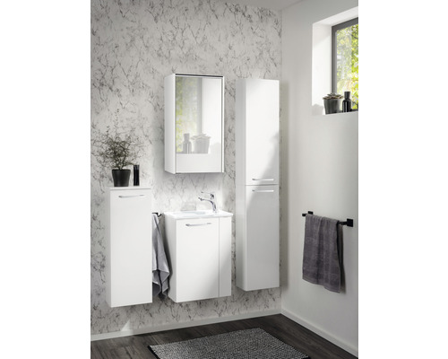 Meubel FACKELMANN Kleine Badkamercollectie BxHxD 44 x 60 cm x 24,3 cm Frontkleur wit hoogglans 86015