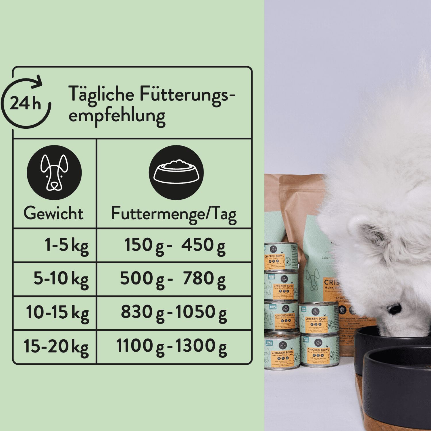 PUJA Hundeliebe Futterumstellung