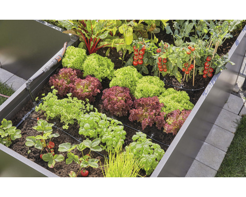 GARDENA Micro-Drip Startset bewateringsset voor verhoogde bedden/tuinbedden (voor maximaal 35 planten)