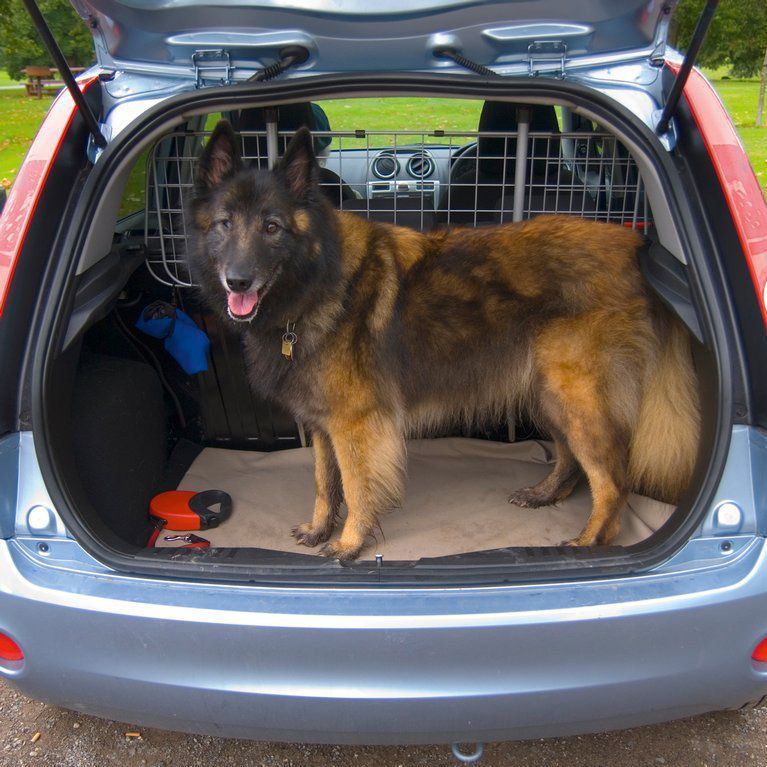 Carpoint - Hondenrek - Zwart - Staal - Verstelbaar 80-136 cm