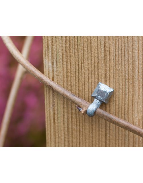 Nature Takkengeleiders - Klim-En Geleide Artikel - 1.1x3.8x3.5 cm Metallic 10 stuks
