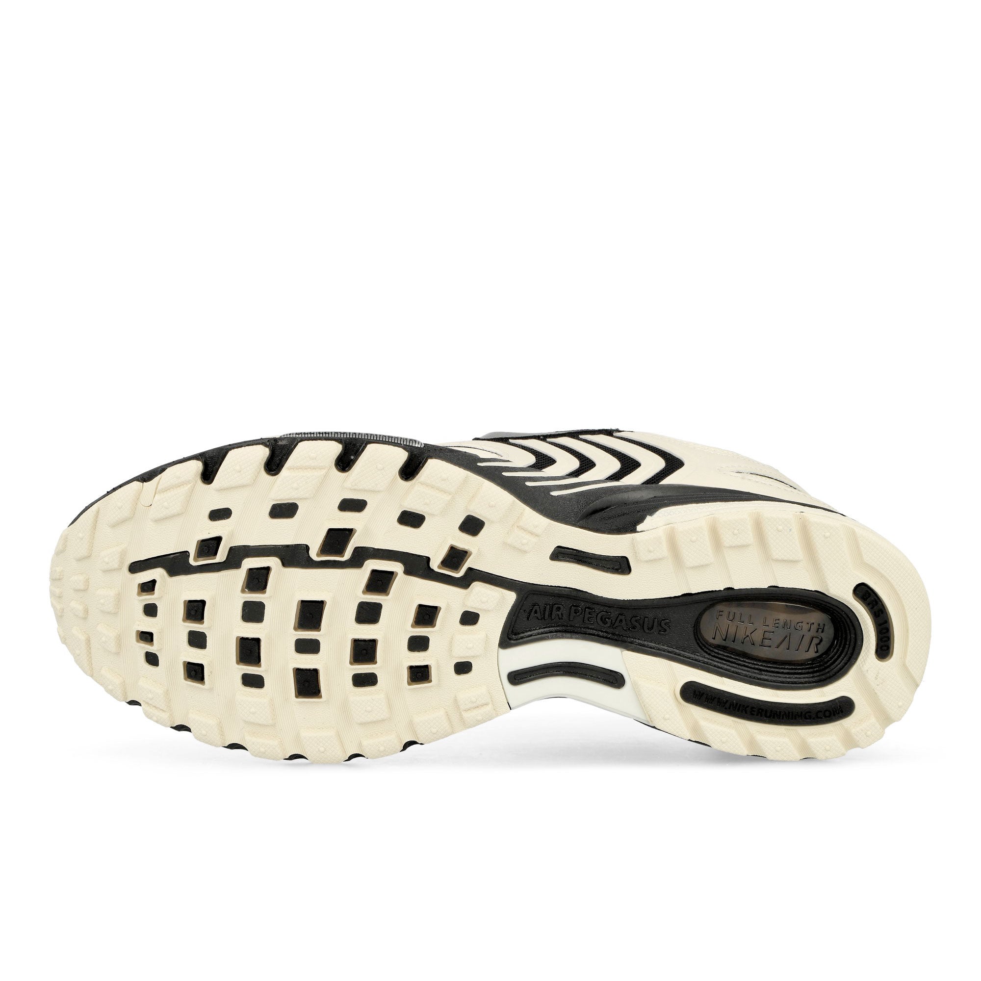 Nike<br>Air Pegasus 2005