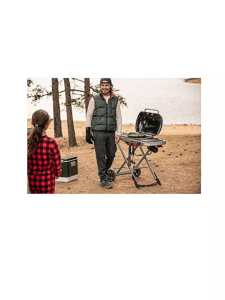 WEBER GRILL Traveler Gasgrill  9010079 schwarz
