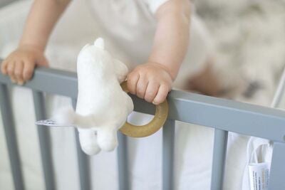 Mummitrollet Biteleke Med Naturgummiring
