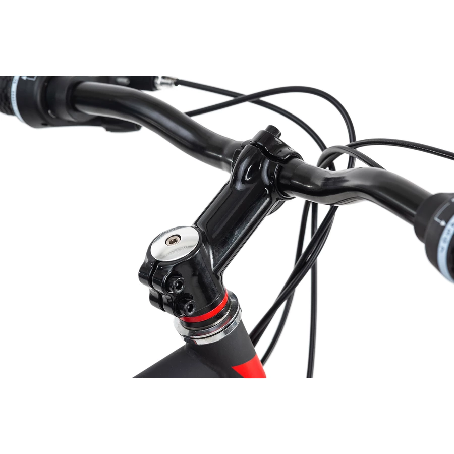 KS Cycling MTB Hardtail Twentyniner 29 Zoll Xtinct schwarz