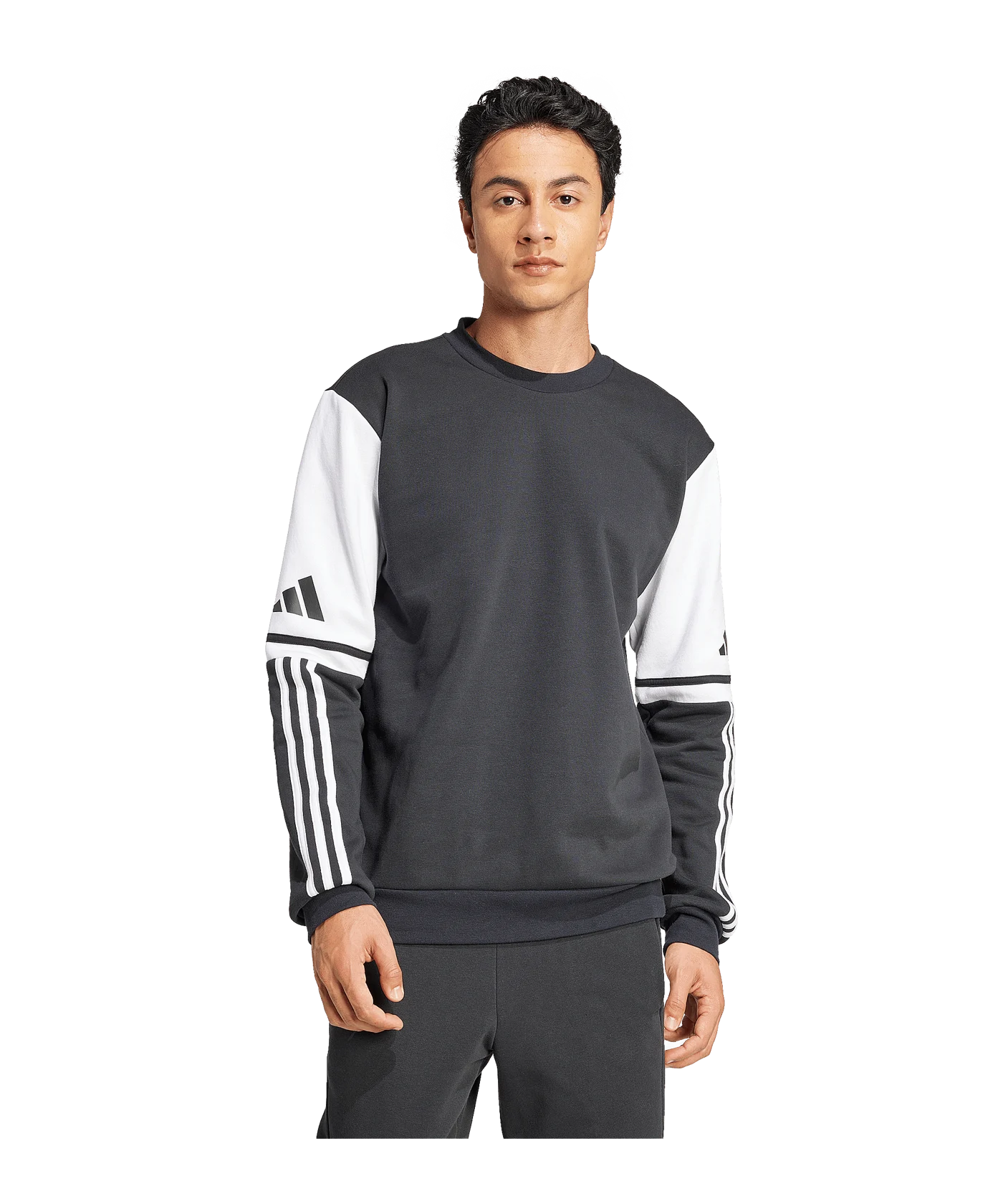adidas Squadra 25 Sweatshirt Schwarz