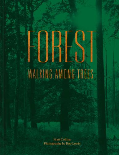 Forest: Walking among trees (Hardback)