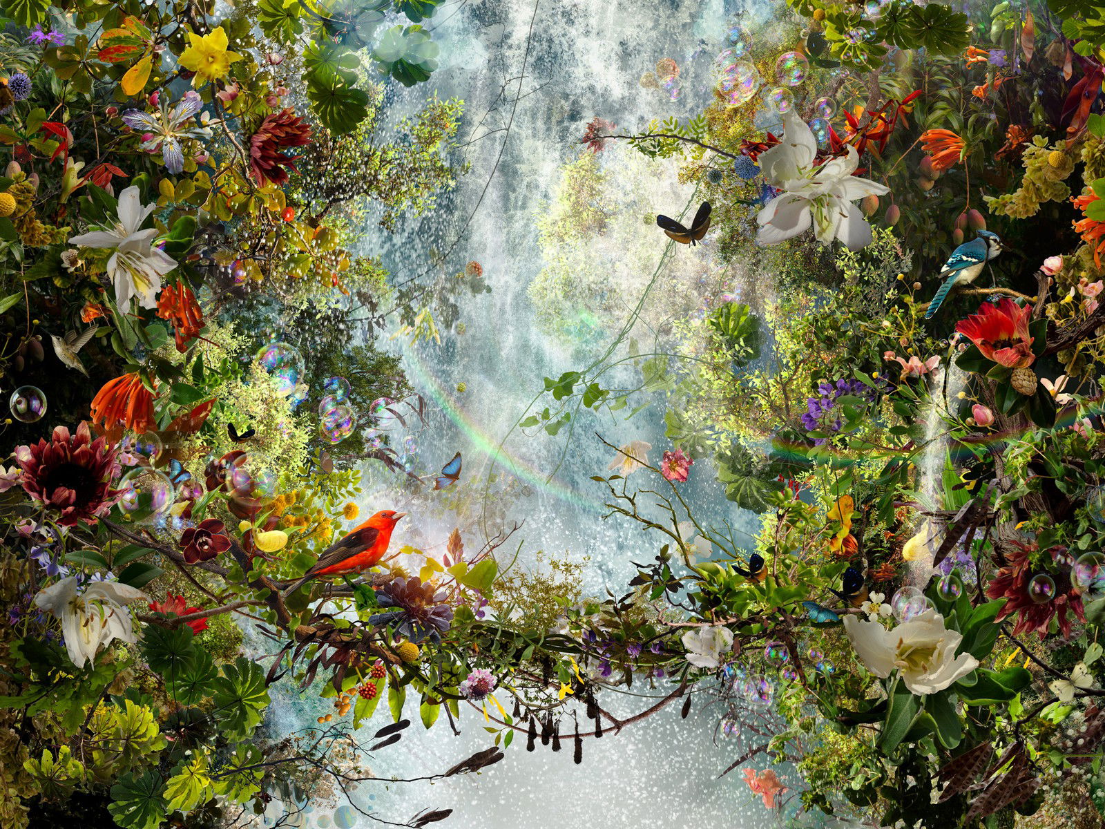 Life goes on by Ysabel Lemay - Darlings - Small Limited Edition. 30x40.