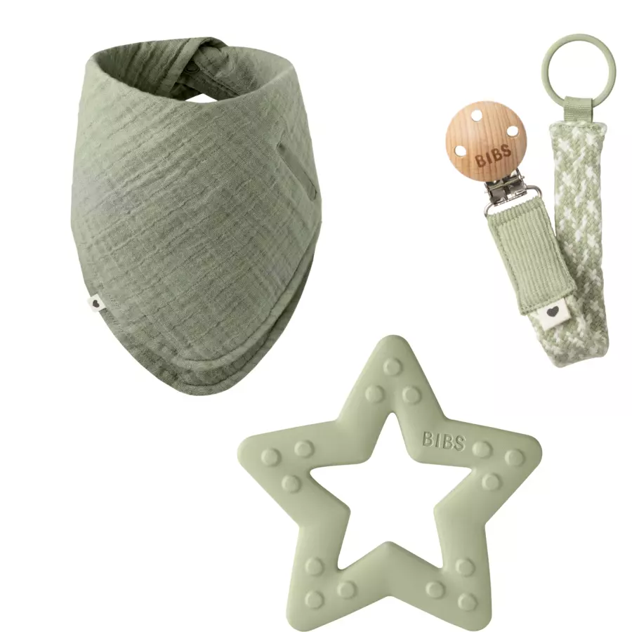 BIBS® Geschenkset Meine ersten 6 Monate Sage