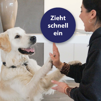 Canosept Pfotenpflege Hund 75g