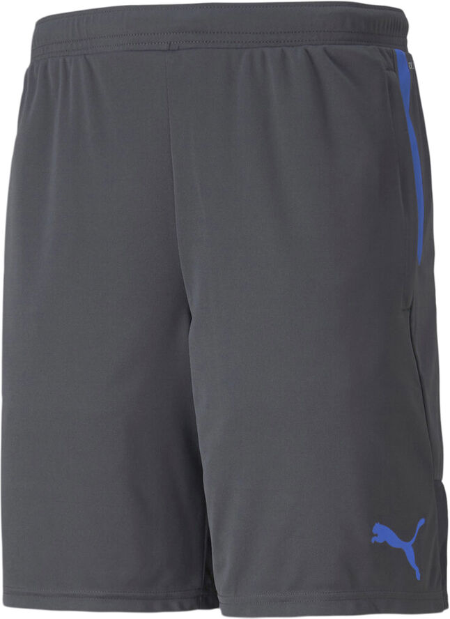 Puma IndividualCUP træningsshorts Grå