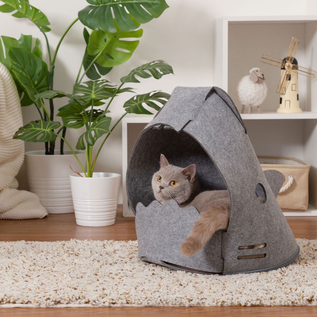 Cama para Gatos, Casinha para Gatos | Neko Shark | MYZOO