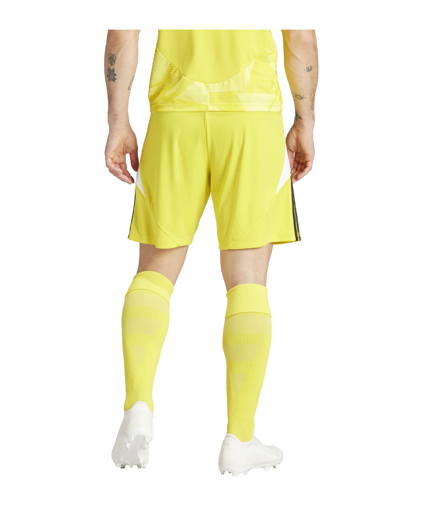 adidas Tiro 24 Short Gelb Weiss