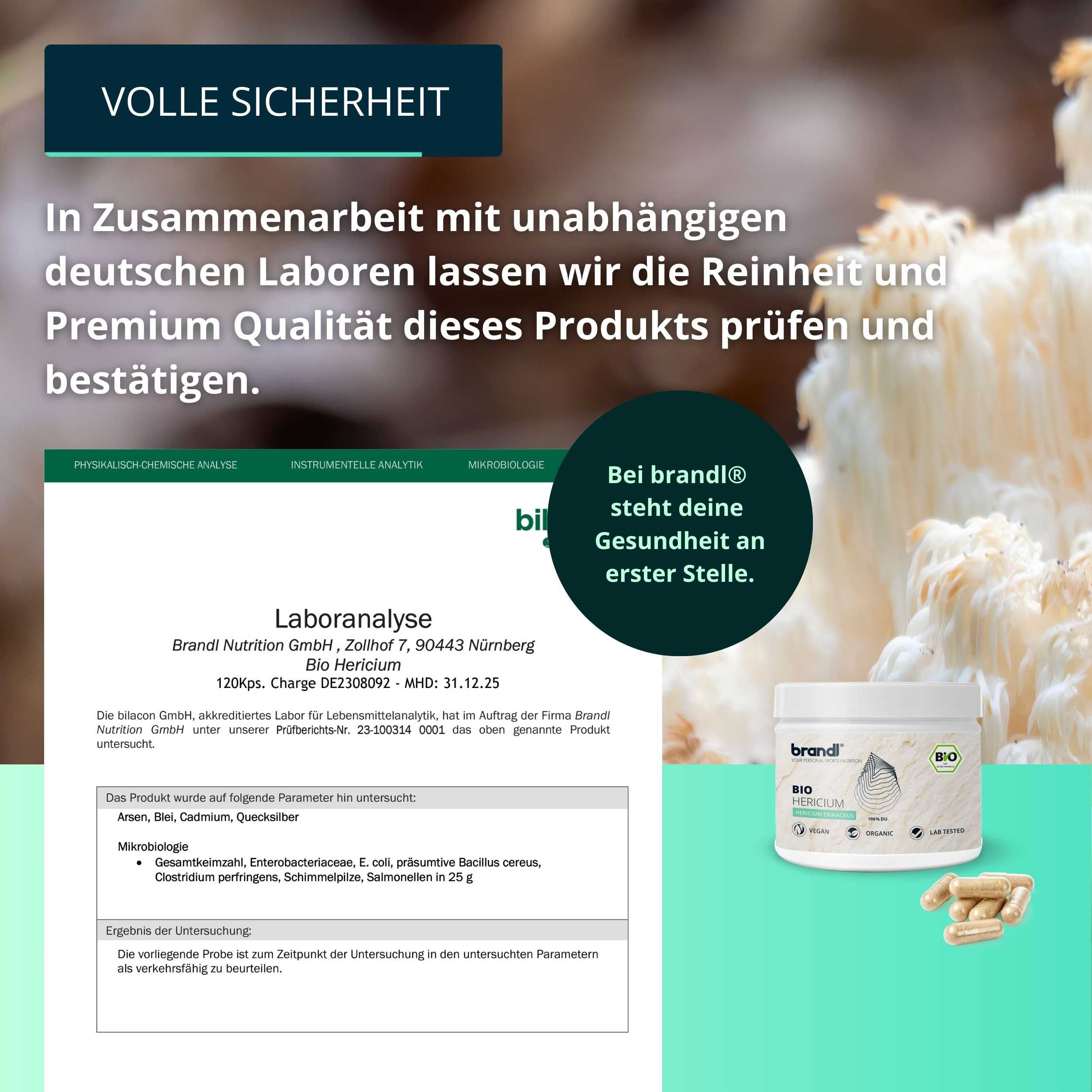brandl® Bio Lions Mane (Hericium Erinaceus) Vitalpilz