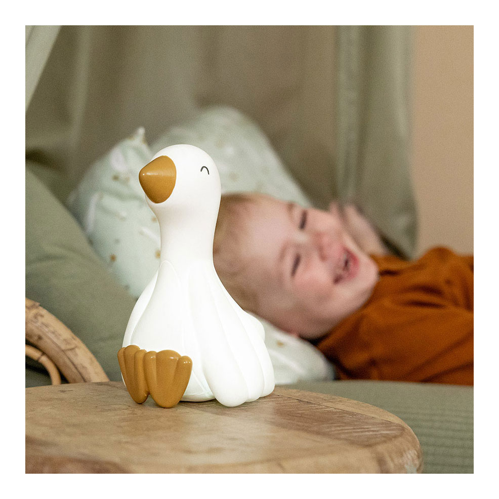 Little Dutch Nachtlampje Little Goose