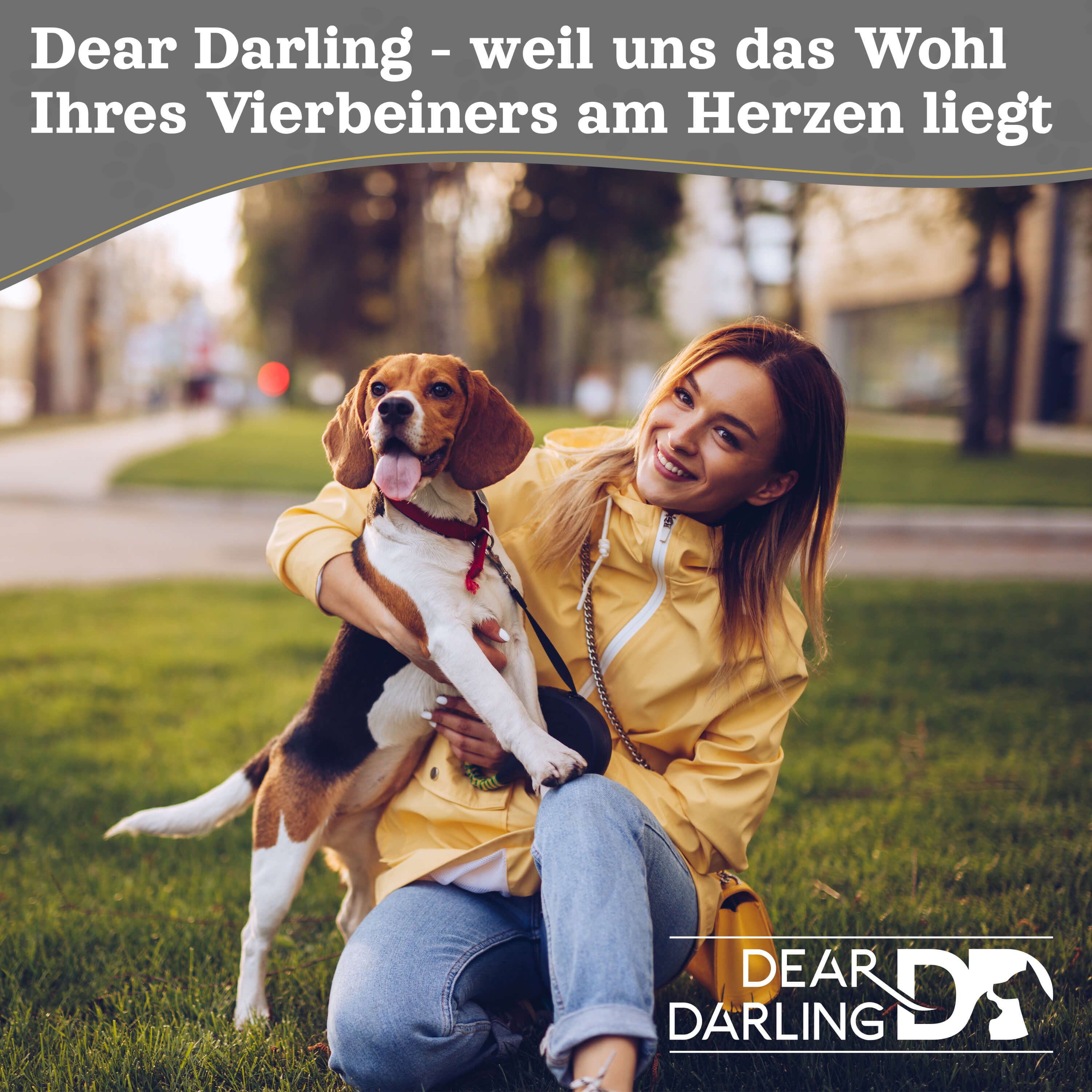 DEAR DARLING DD-05GRL Luxus Hundebett Katzenbett Anthrazit Gr. L 70x60cm Korb Memoryschaum Matratze