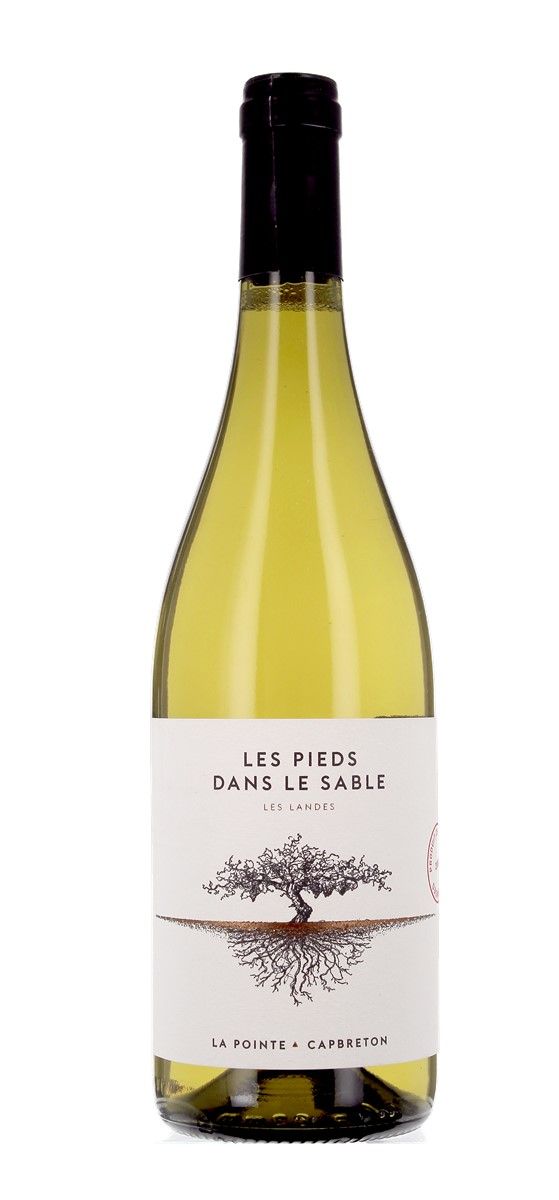Famille Laudet - Les Pieds dans le Sable Blanc 2022