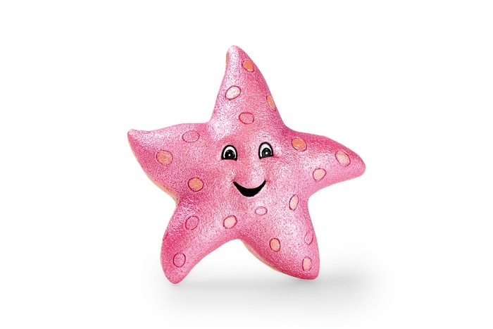 Zeester Decoratie Ornament