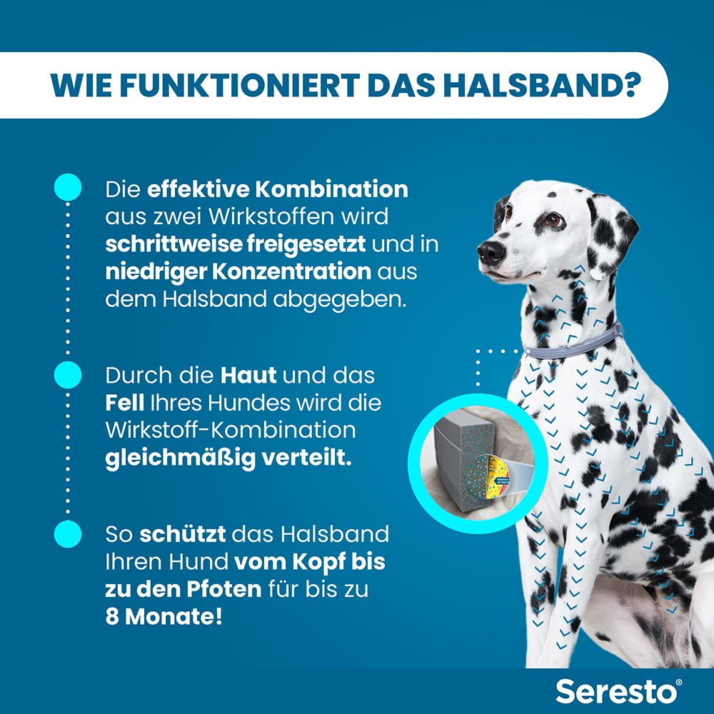 Seresto® Halsband für große Hunde ab 8 kg