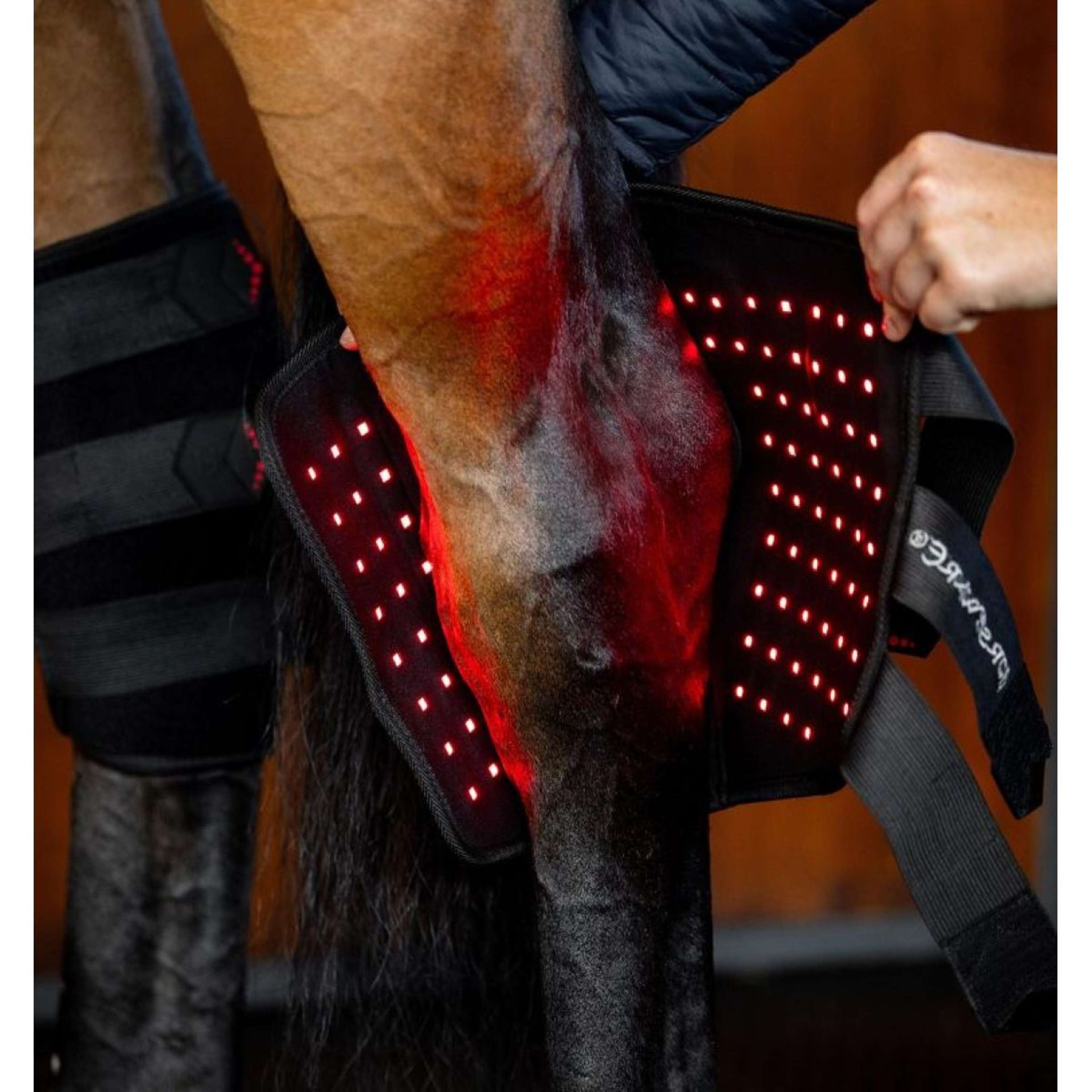 Horseware LED Red Light Therapy Left Hock Boot Zwart