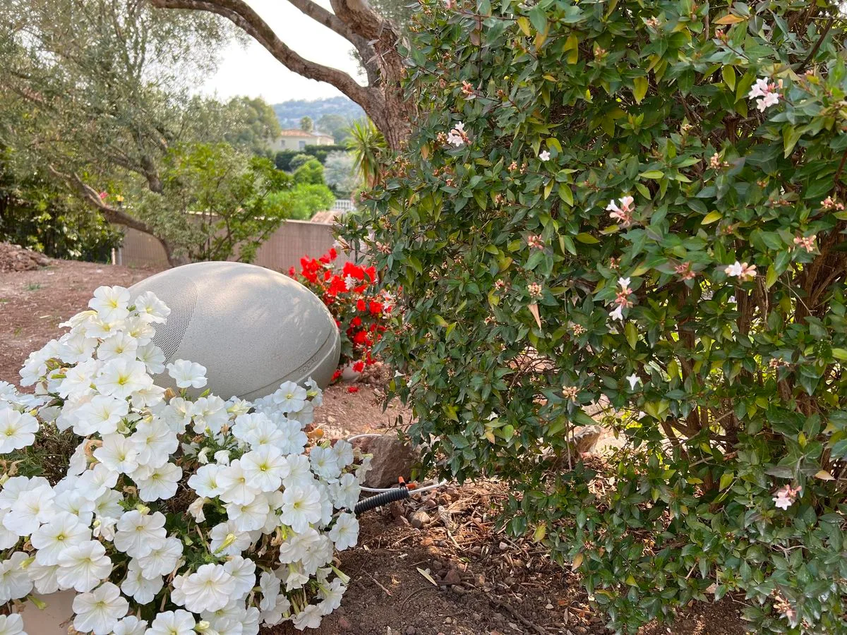 Focal OD Stone 8 Blanc (la pièce) Enceintes d'extérieur