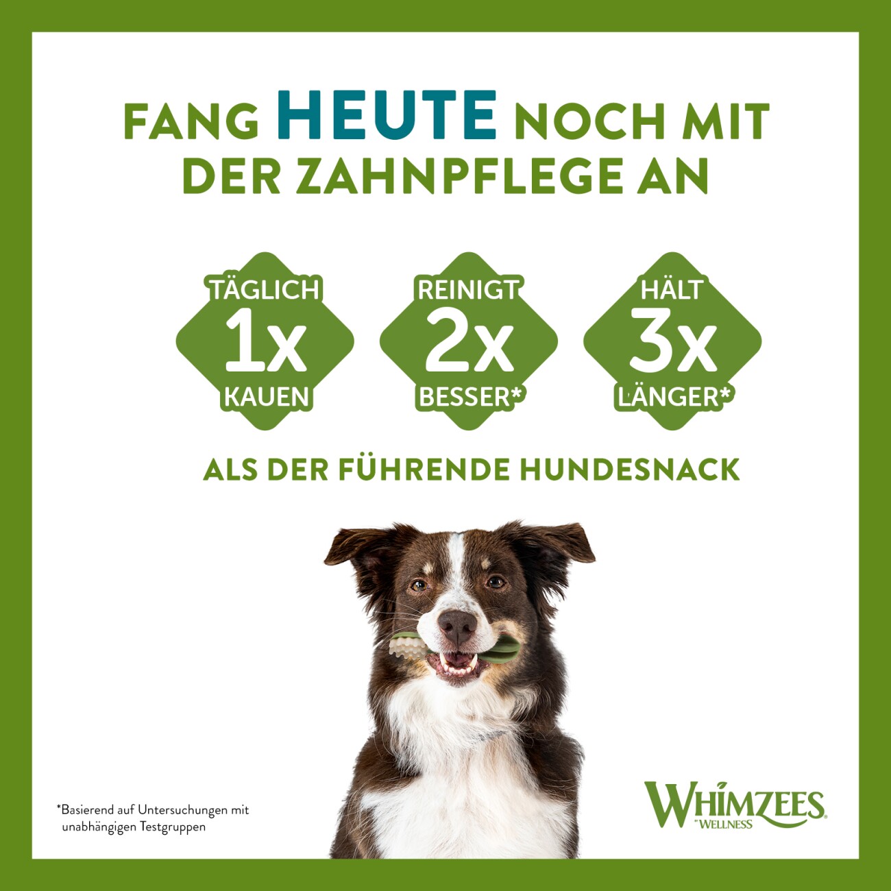 WHIMZEES Zahnpflegesnacks Zahnbürste XS