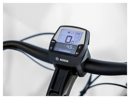 Vélo de Ville Électrique Trek District  2 Shimano Nexus 7V 500 Wh 700 mm Gris