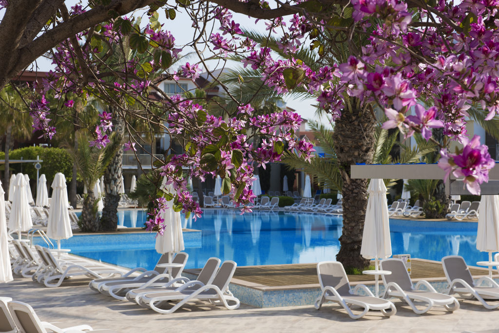 Barut B Suites Logies en ontbijt - Hotel