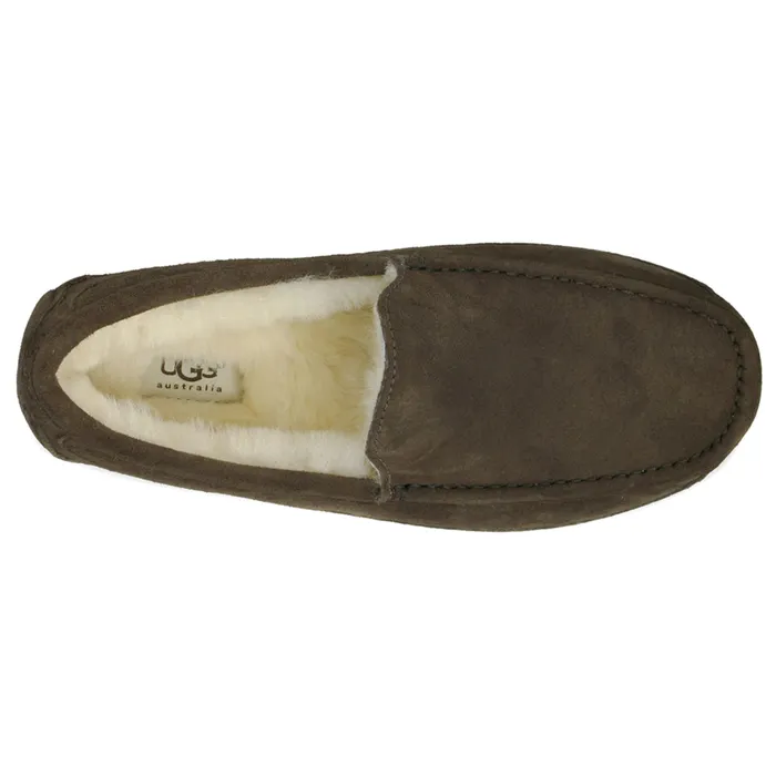 UGG Ascot Pantoffels Heren