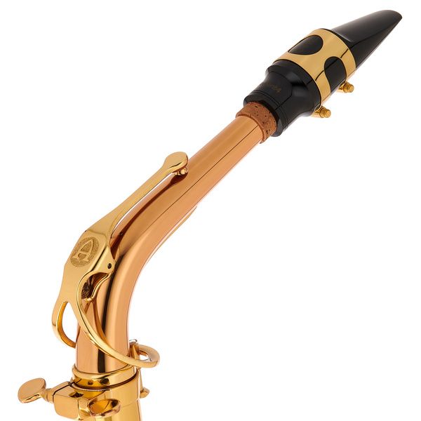 Schagerl Academia Alto Sax A-920L-II